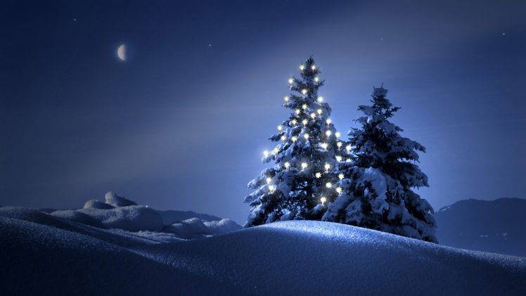 クリスマスの夜の壁紙,冬,雪,自然,空,木
