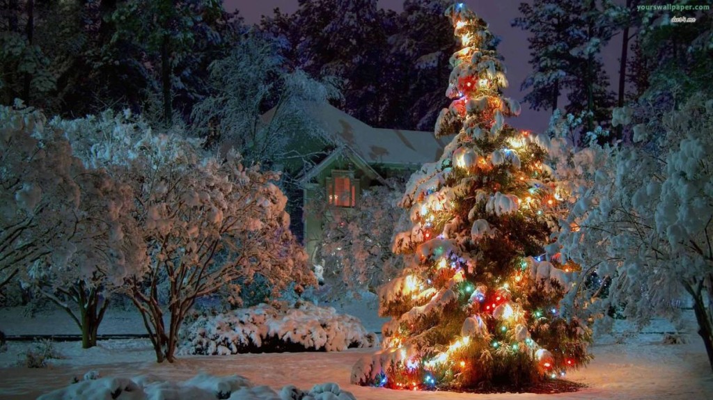 christmas tree desktop wallpaper,christmas tree,tree,christmas decoration,christmas,colorado spruce