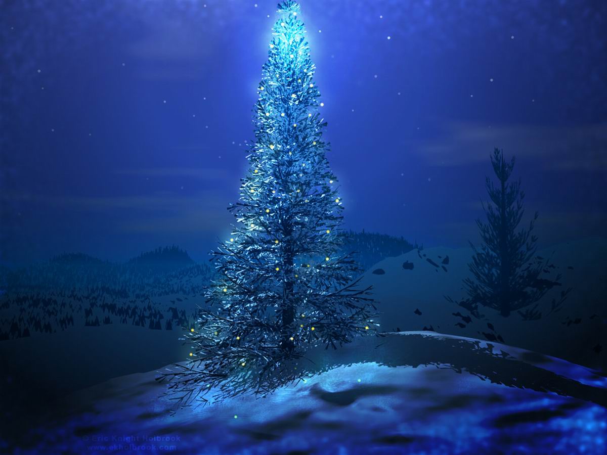 christmas tree desktop wallpaper,blue,christmas tree,tree,nature,sky