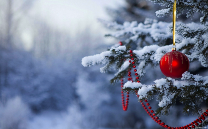 christmas tree desktop wallpaper,winter,snow,red,freezing,frost