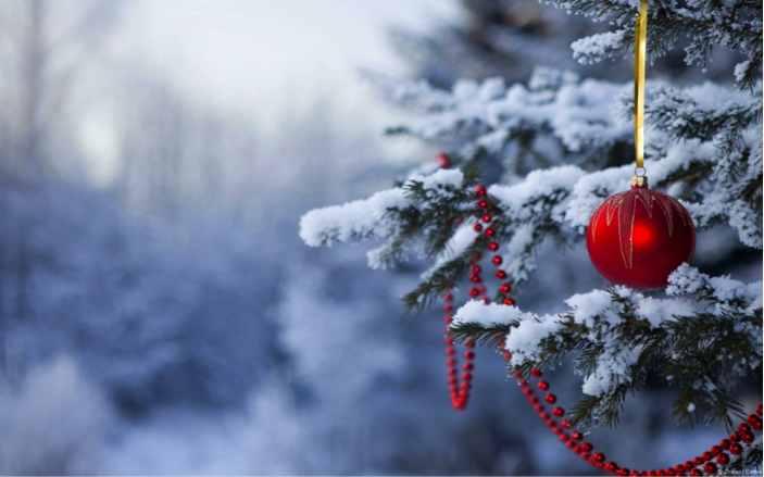 クリスマスツリーデスクトップ壁紙,冬,雪,赤,凍結,霜