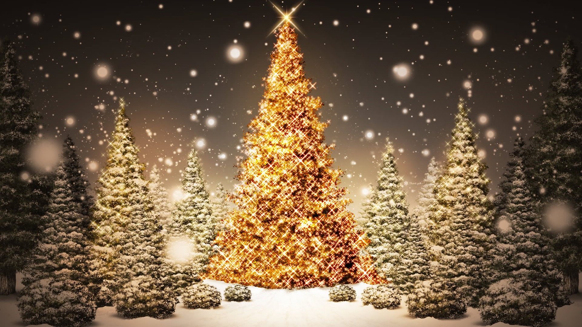 christmas tree desktop wallpaper,christmas tree,tree,christmas decoration,christmas lights,christmas eve
