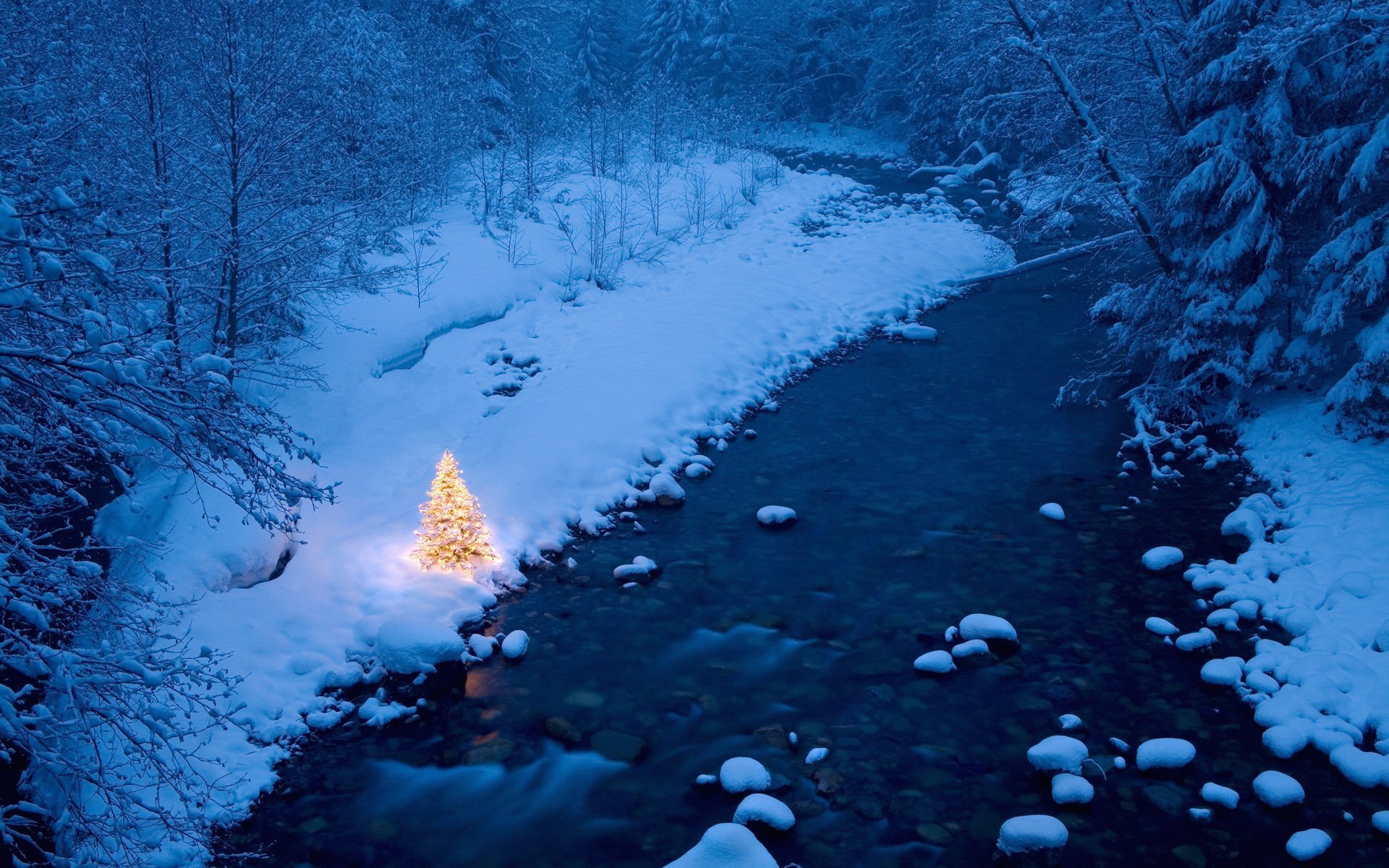 christmas tree desktop wallpaper,geological phenomenon,water,natural landscape,freezing,winter