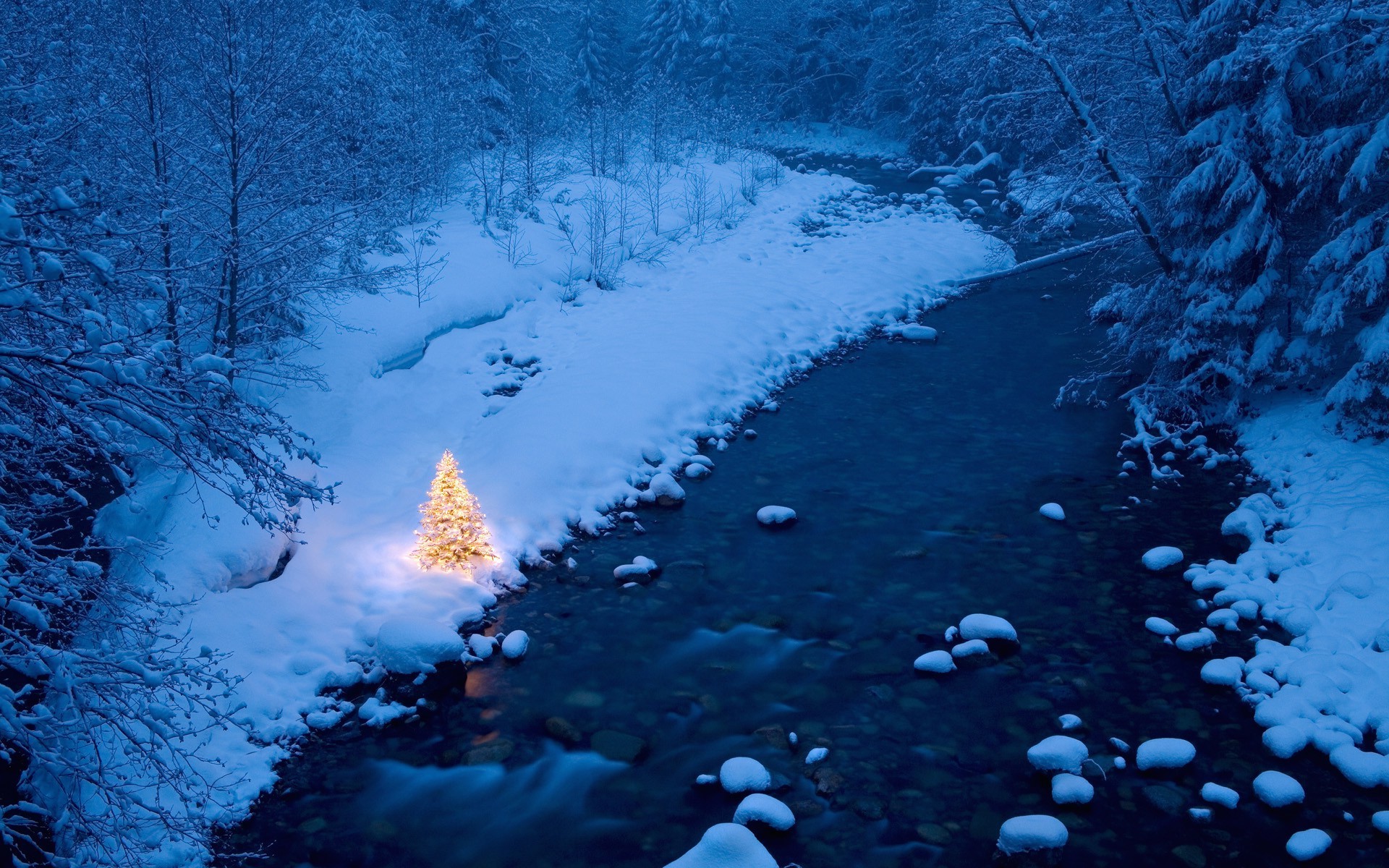 weihnachtsbaum desktop hintergrund,wasser,natürliche landschaft,einfrieren,winter,eis