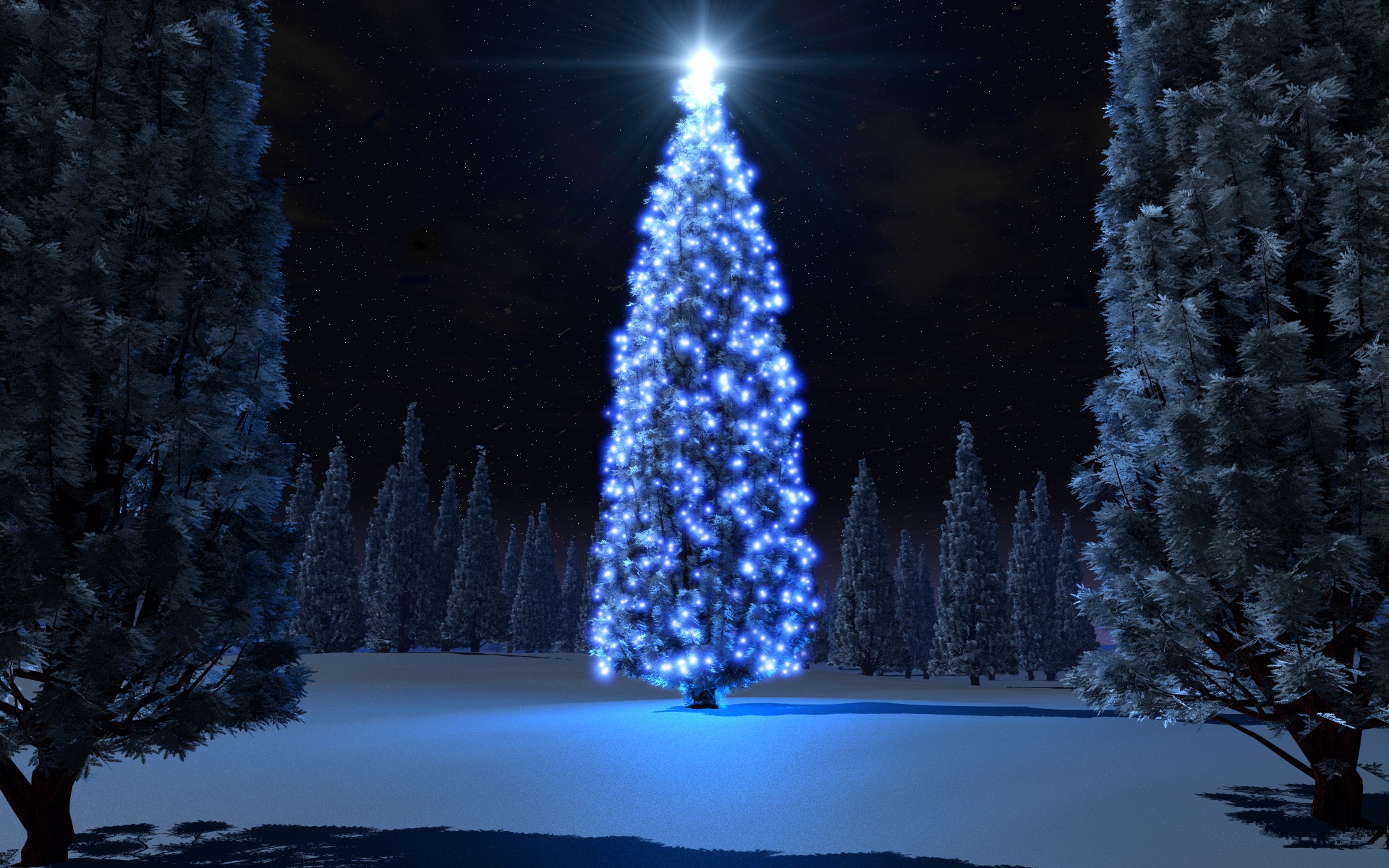 christmas tree desktop wallpaper,tree,blue,christmas tree,christmas decoration,light