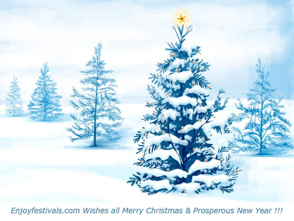 christmas tree desktop wallpaper,shortleaf black spruce,balsam fir,tree,colorado spruce,white pine