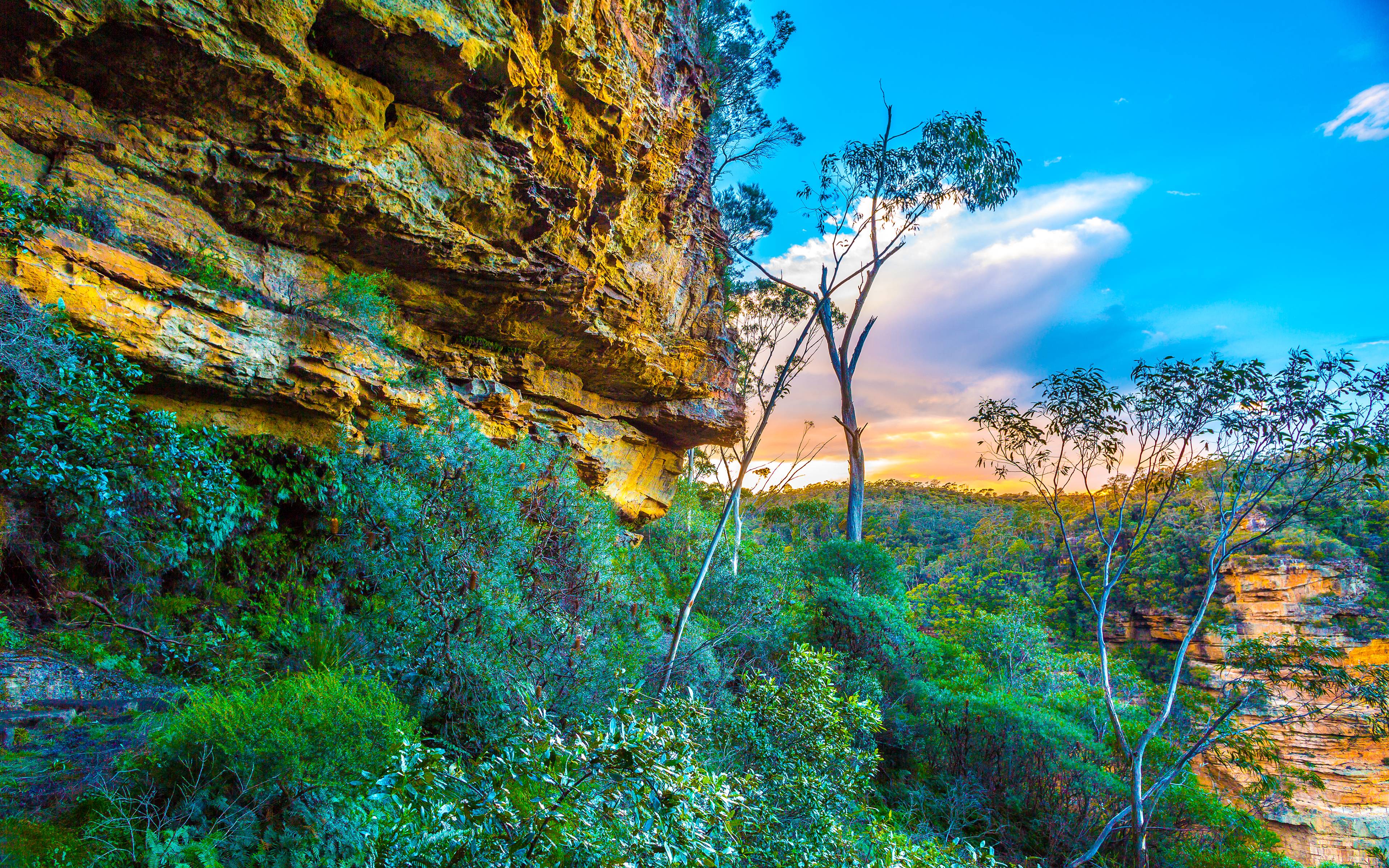 wallpaper bmp,nature,natural landscape,vegetation,sky,blue