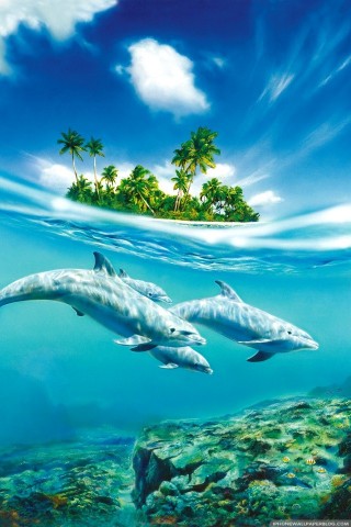 delphin iphone wallpaper,natur,natürliche landschaft,himmel,meeresbiologie,ozean