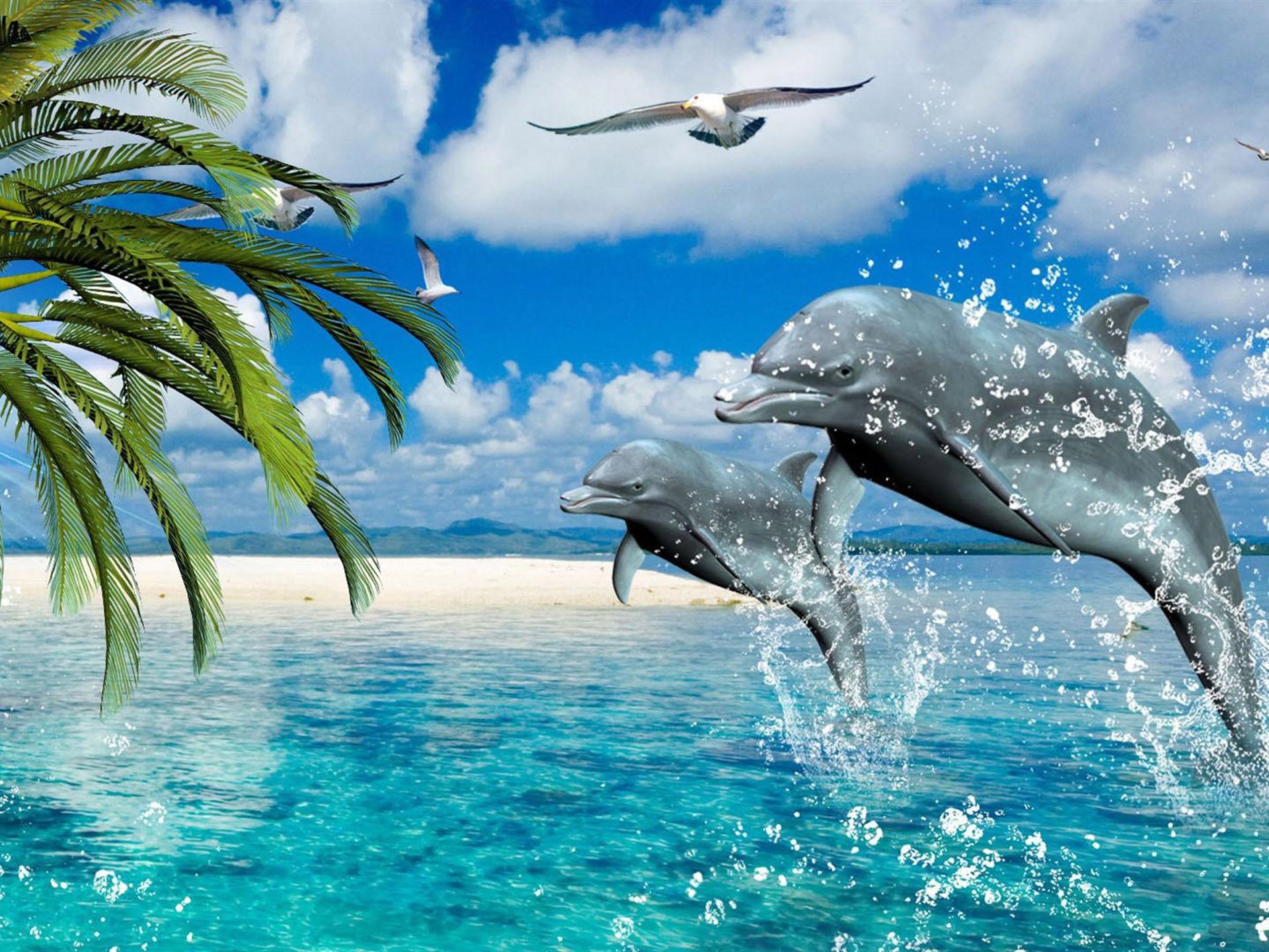delfines fondo de pantalla para iphone,delfín,delfín nariz de botella,delfín nariz de botella común,delfín común de pico corto,mamífero marino
