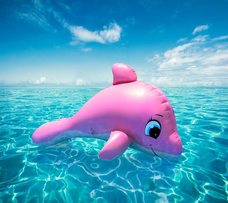 papel pintado delfín rosado,delfín,mamífero marino,delfín nariz de botella común,pez,juegos