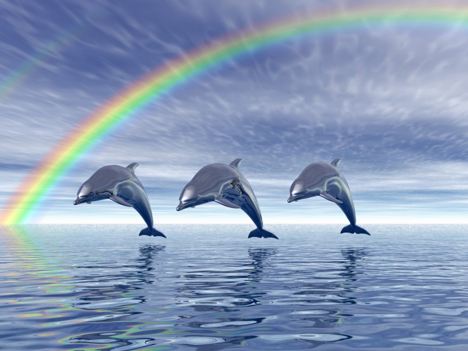 dolphin wallpapers free,dolphin,common bottlenose dolphin,bottlenose dolphin,short beaked common dolphin,marine mammal