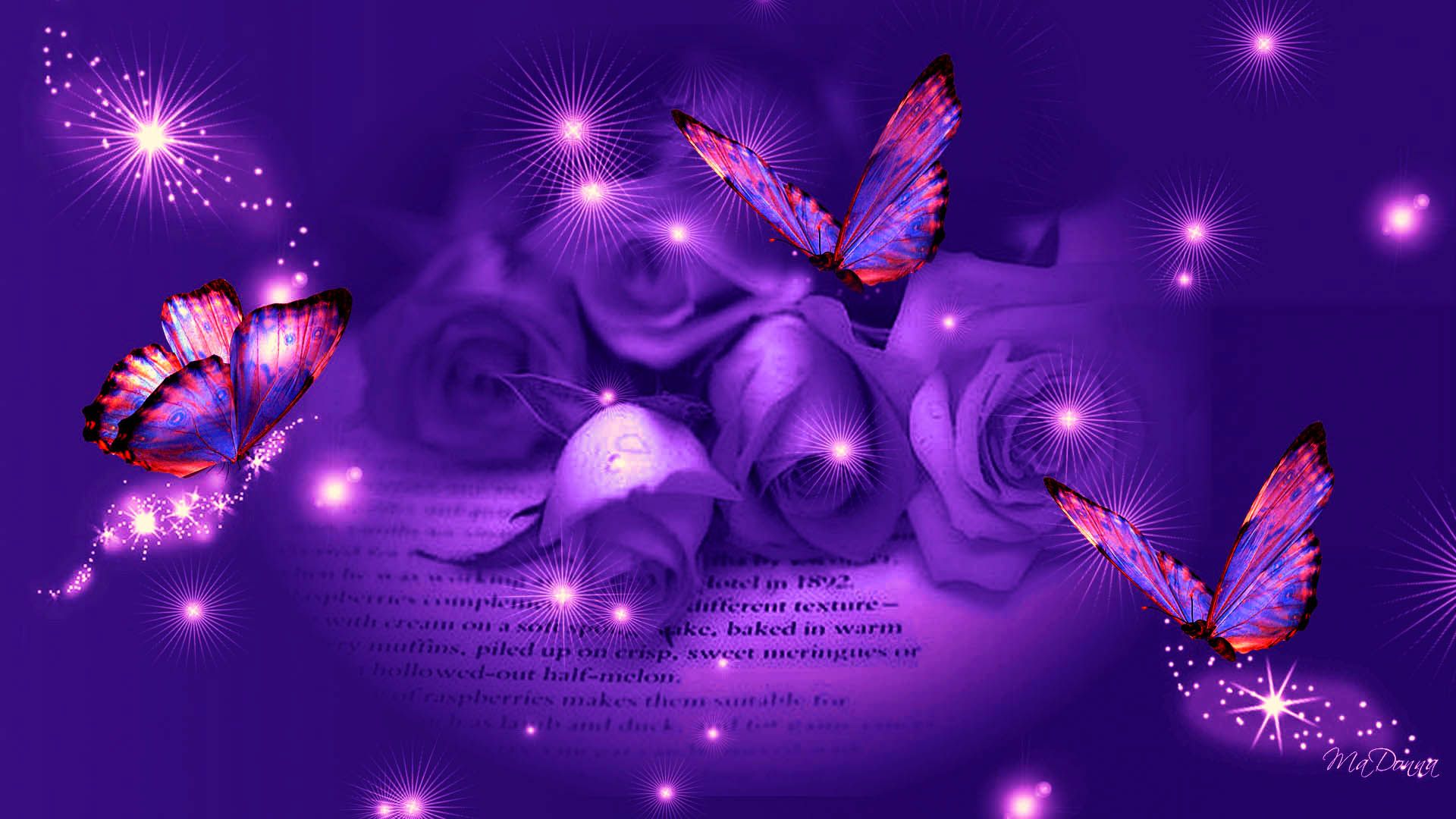 grafik wallpaper herunterladen,violett,lila,licht,beleuchtung,schmetterling