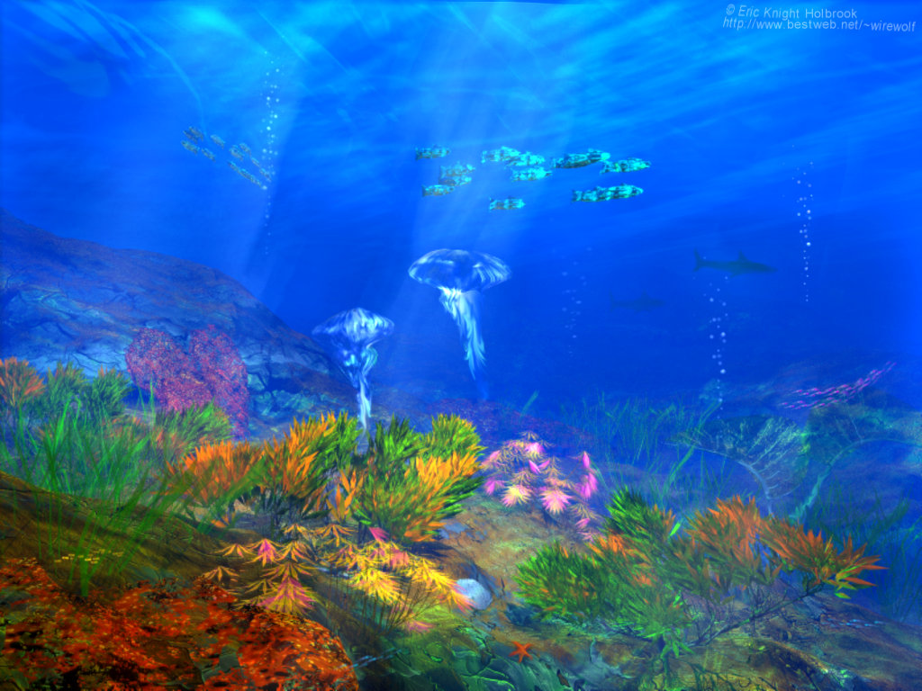 fond d'écran 3d océan,la nature,bleu,sous marin,ciel,l'eau