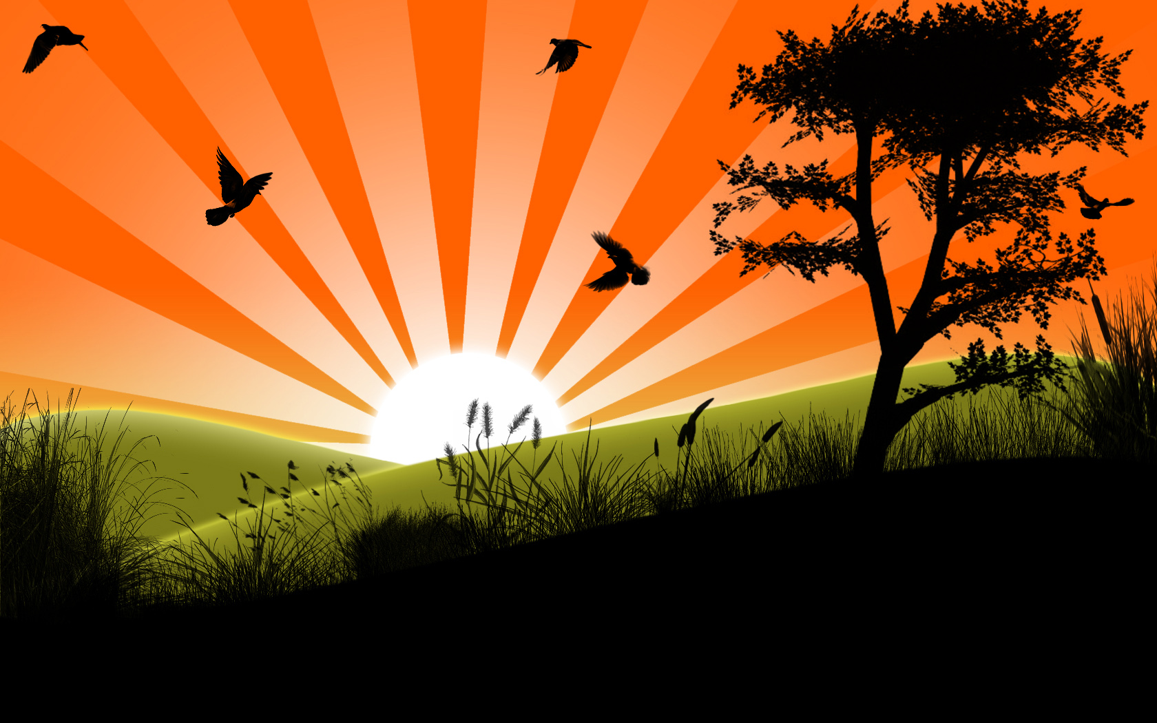 vector graphics wallpaper,sky,nature,natural landscape,orange,sunset