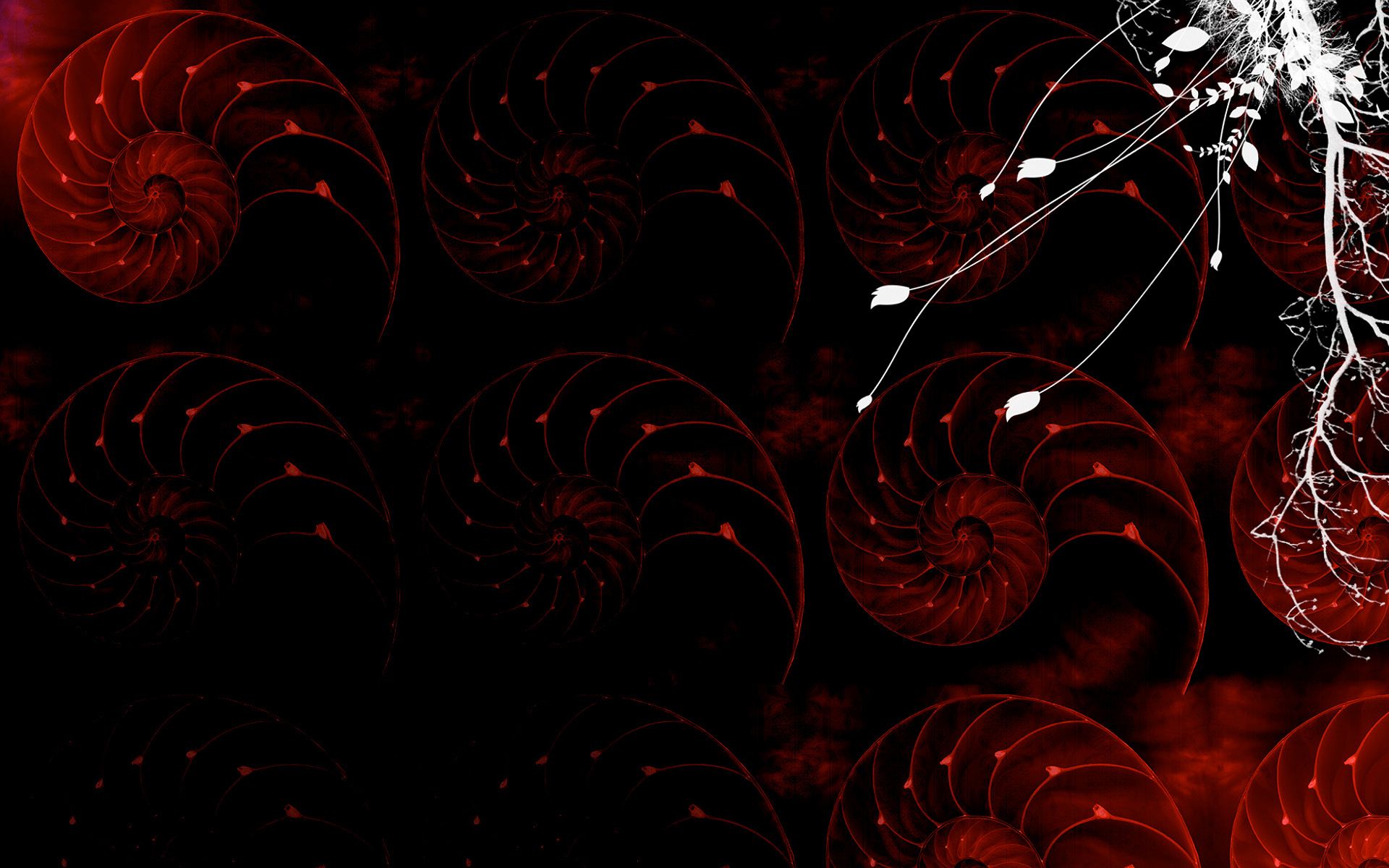 cool graphic wallpapers,red,fractal art,light,pattern,organism