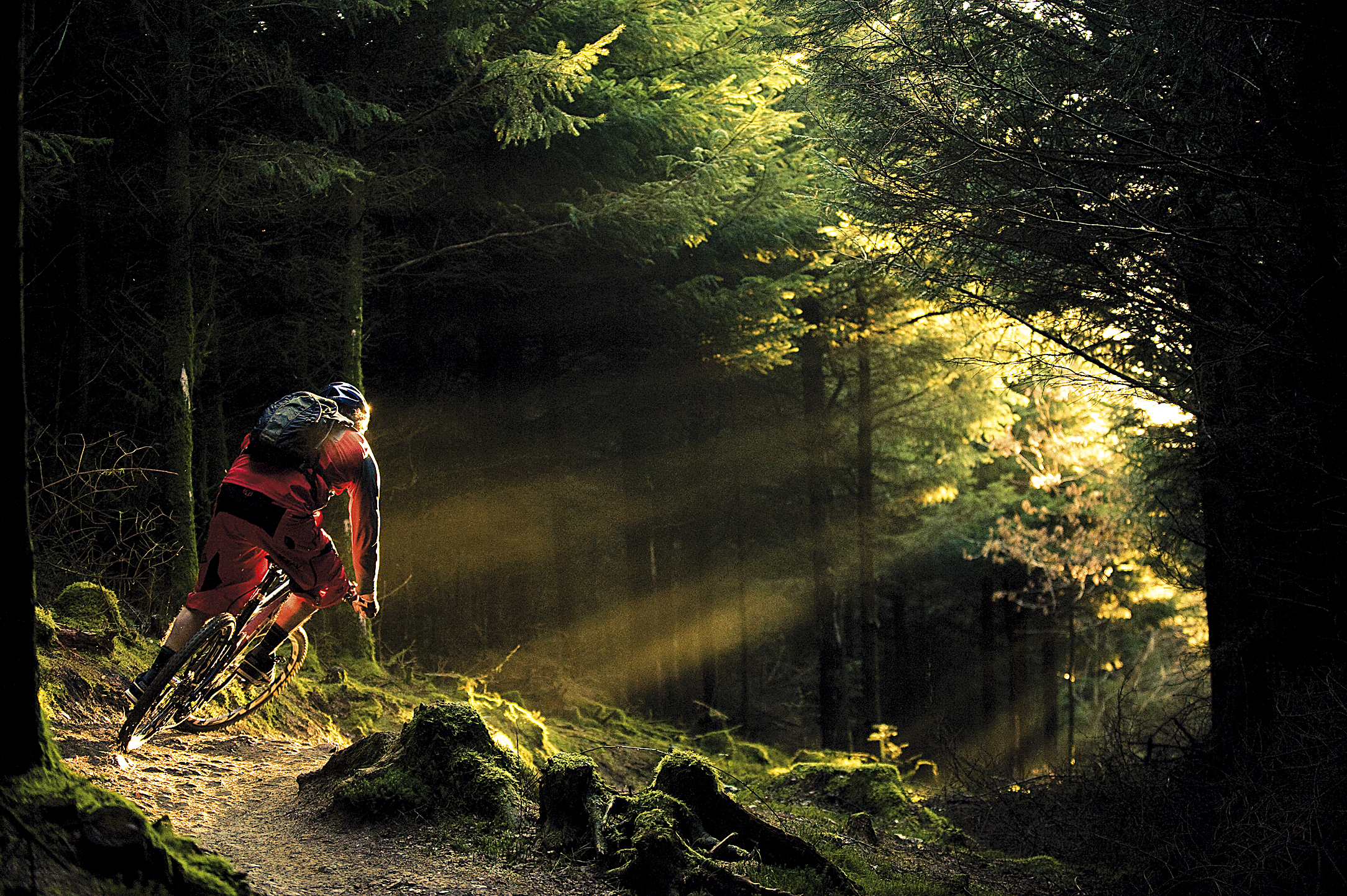 vélo fond d'écran en direct,la nature,vélo de montagne,vélo,trajet gratuit,vtt de descente