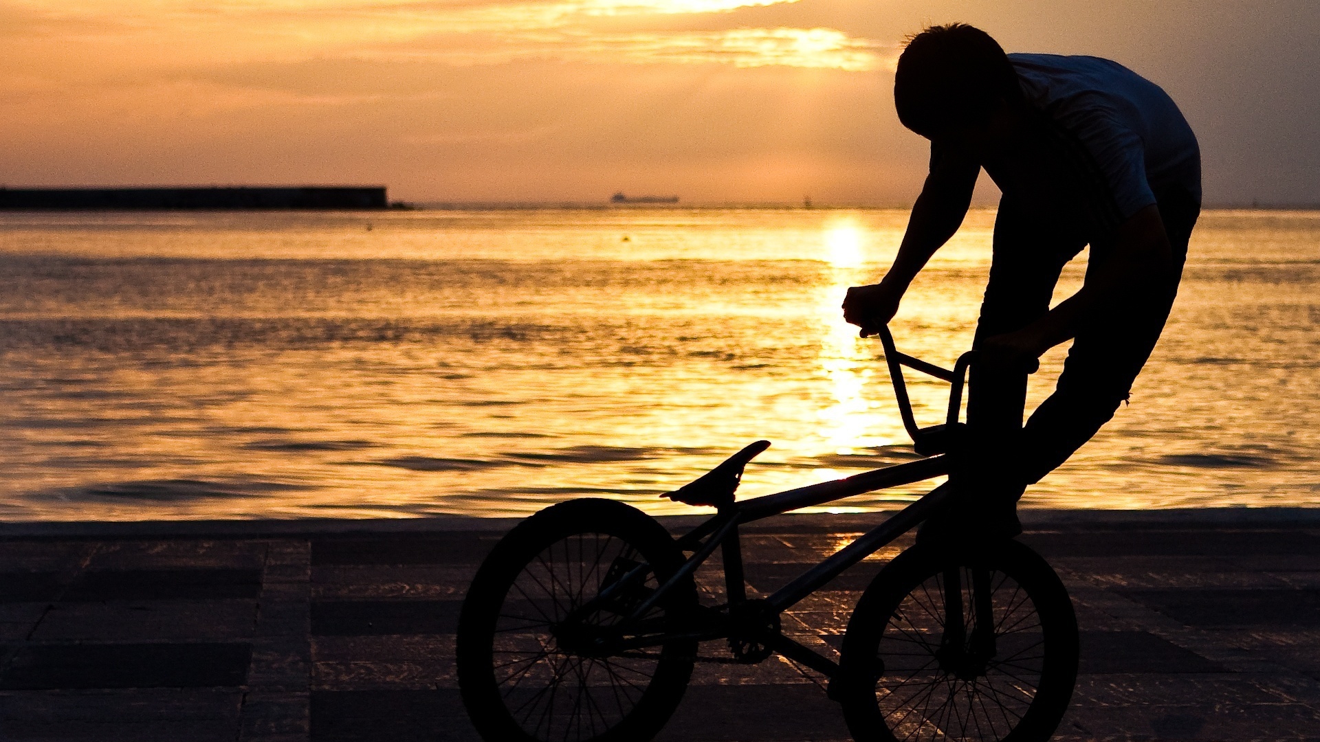 fondo de pantalla de bmx hd,freestyle bmx,flatland bmx,bicicleta,vehículo,bicicleta bmx