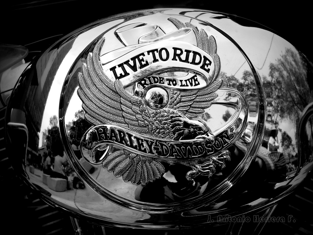 harley davidson live wallpaper,casco,casco per moto,equipaggiamento per la protezione personale,bianco e nero,copricapo