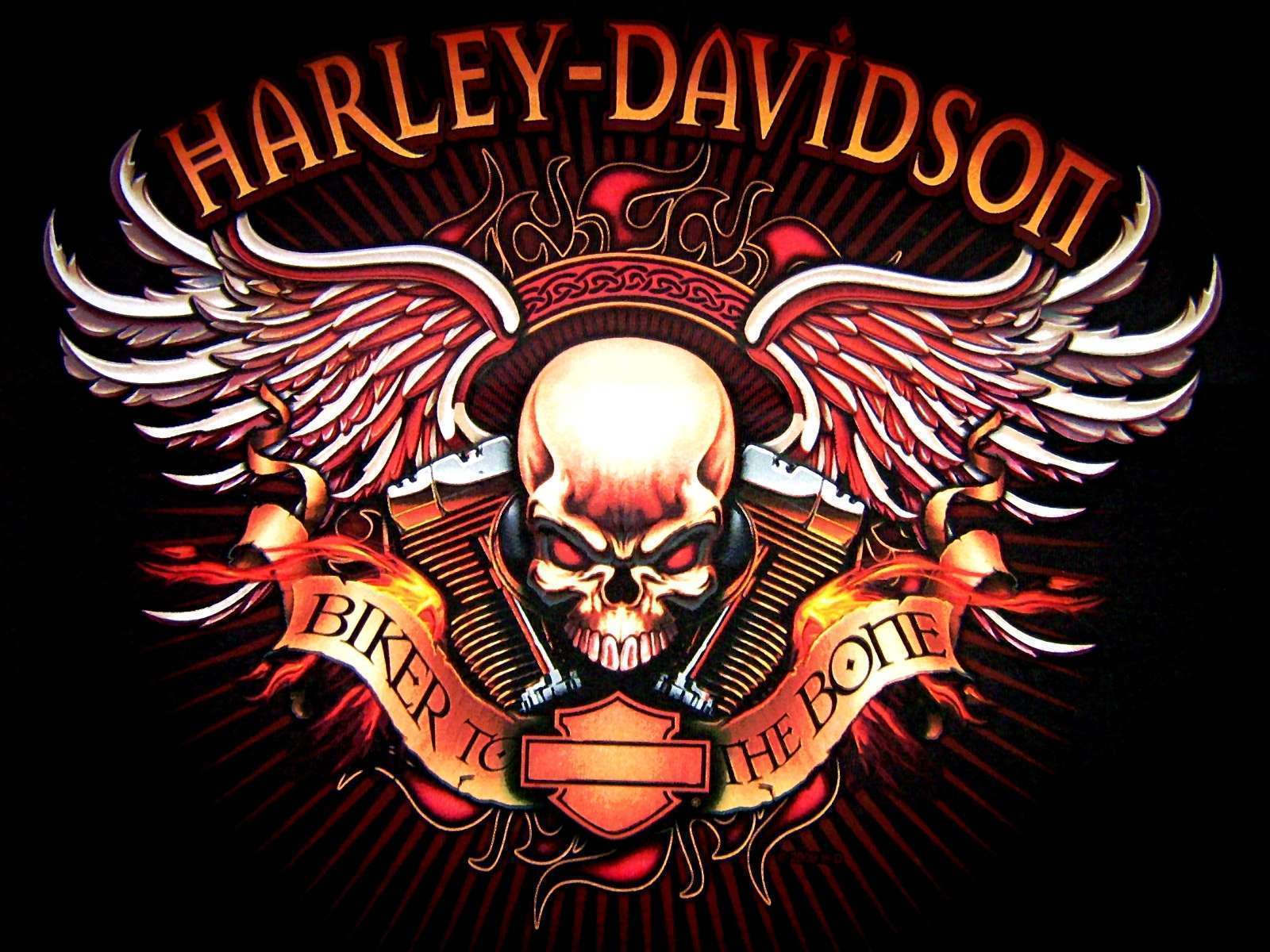 fondo de pantalla del logo de harley,ilustración,cráneo,camiseta,emblema,diseño gráfico