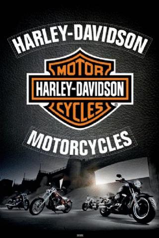 harley davidson live wallpaper,motorrad,motorrad fahren,fahrzeug,motorradrennen,schriftart