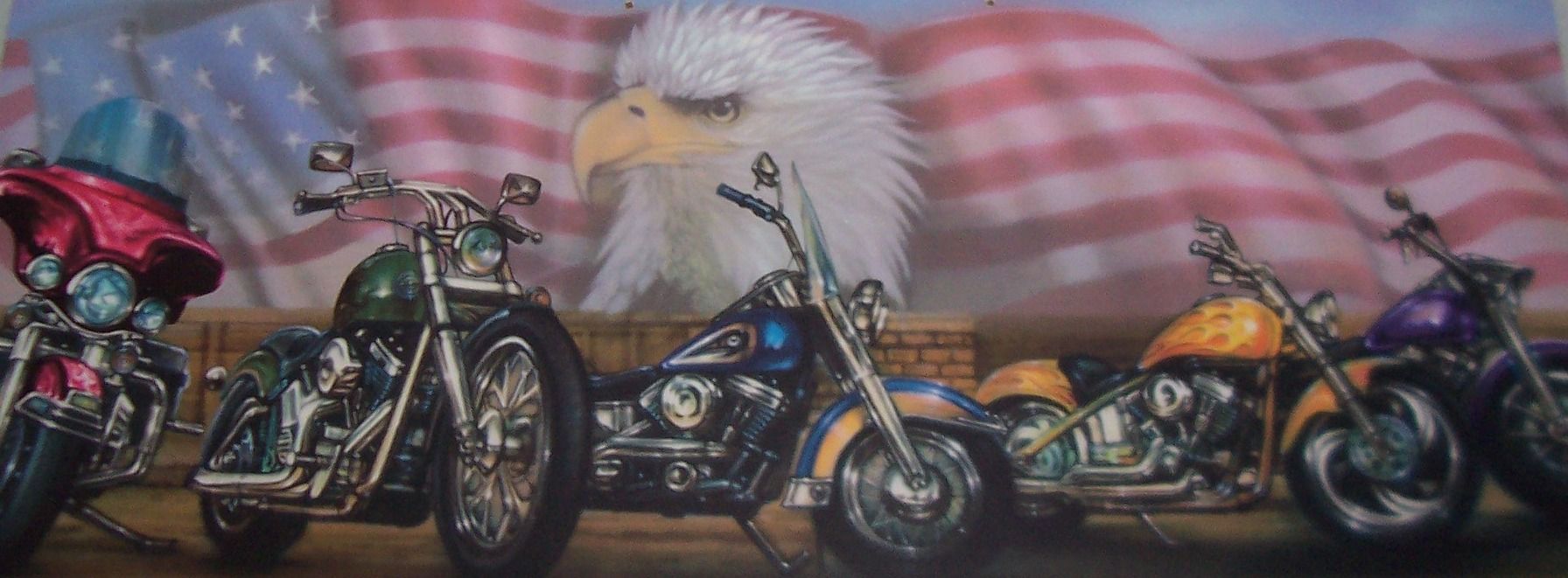harley davidson wallpaper border,vehicle,motorcycle,bird,car,chopper