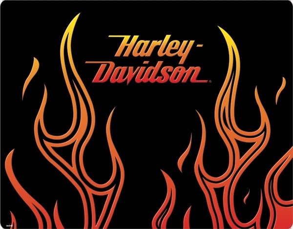 harley davidson tapetenrand,flamme,schriftart,grafik