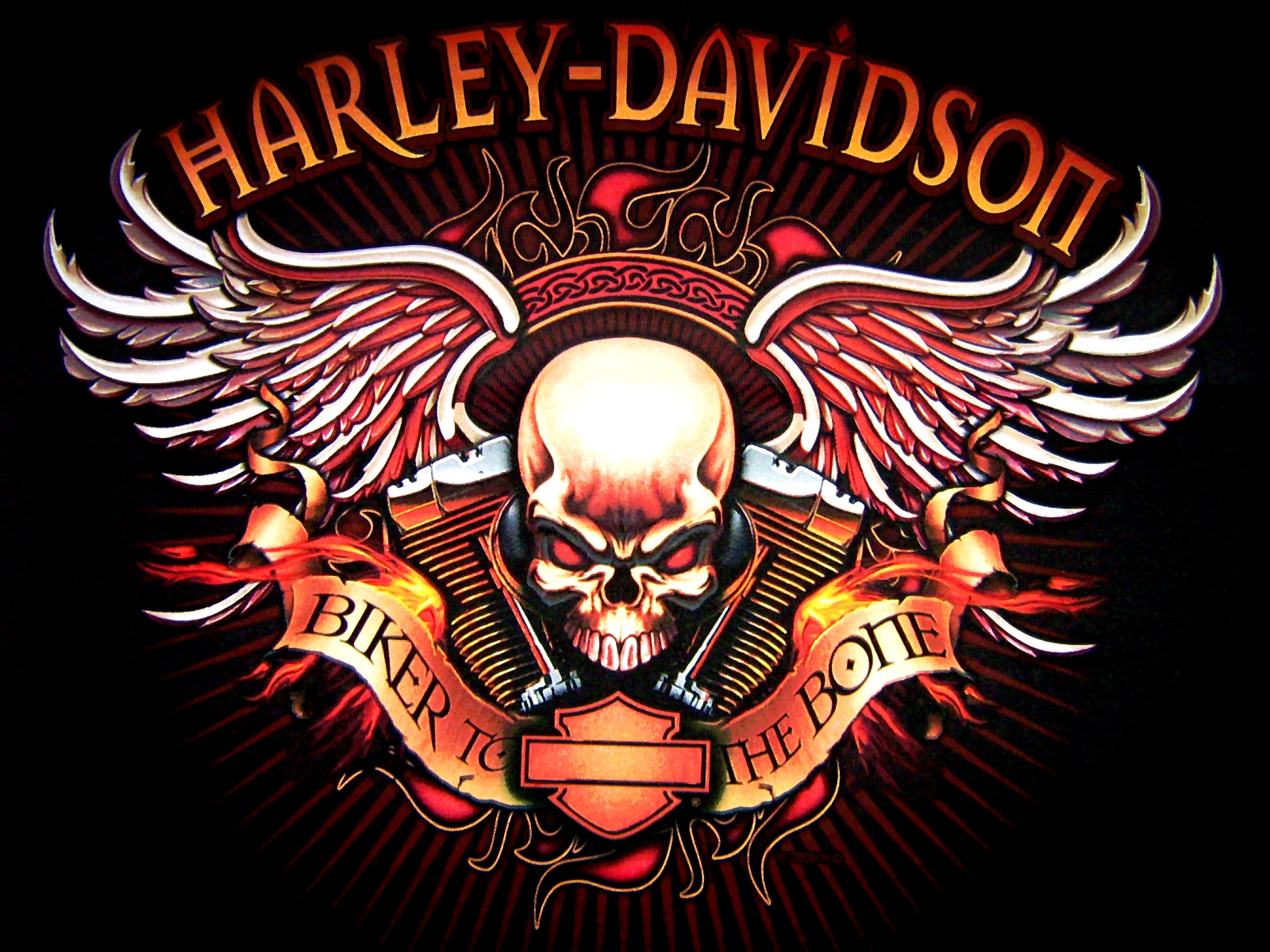 harley davidson logo wallpaper,illustration,logo,skull,t shirt,emblem