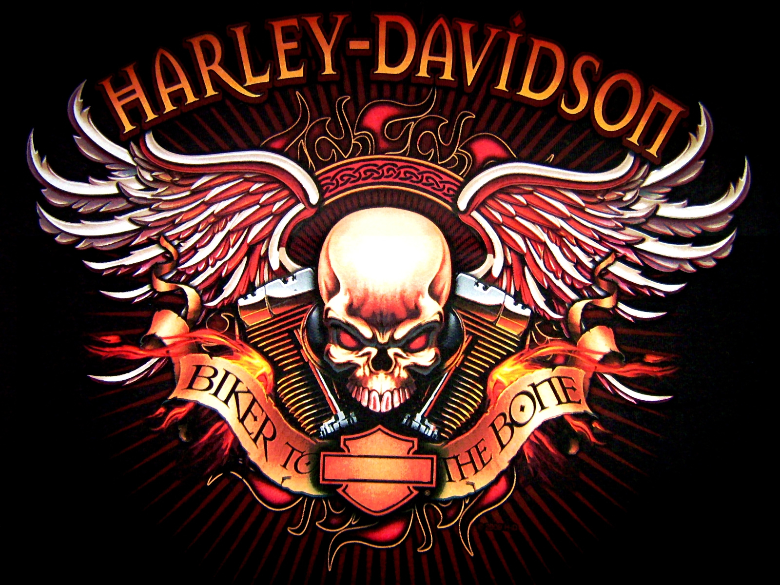 carta da parati logo harley davidson,illustrazione,cranio,maglietta,emblema,disegno grafico