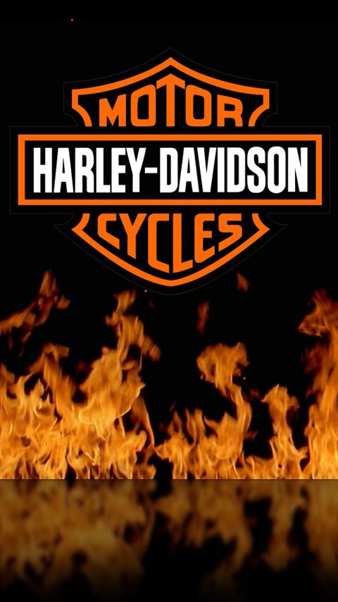 sfondo di harley davidson per android,fiamma,fuoco,font,calore,falò