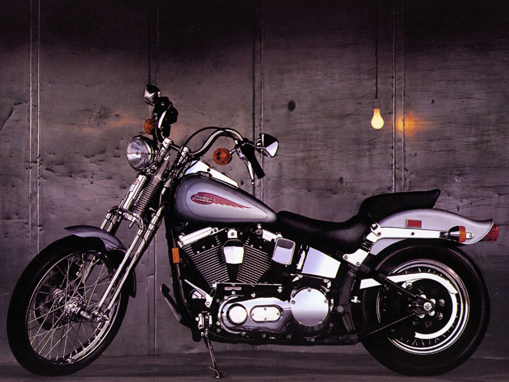 harley davidson wallpaper for android,land vehicle,motorcycle,vehicle,fuel tank,cruiser