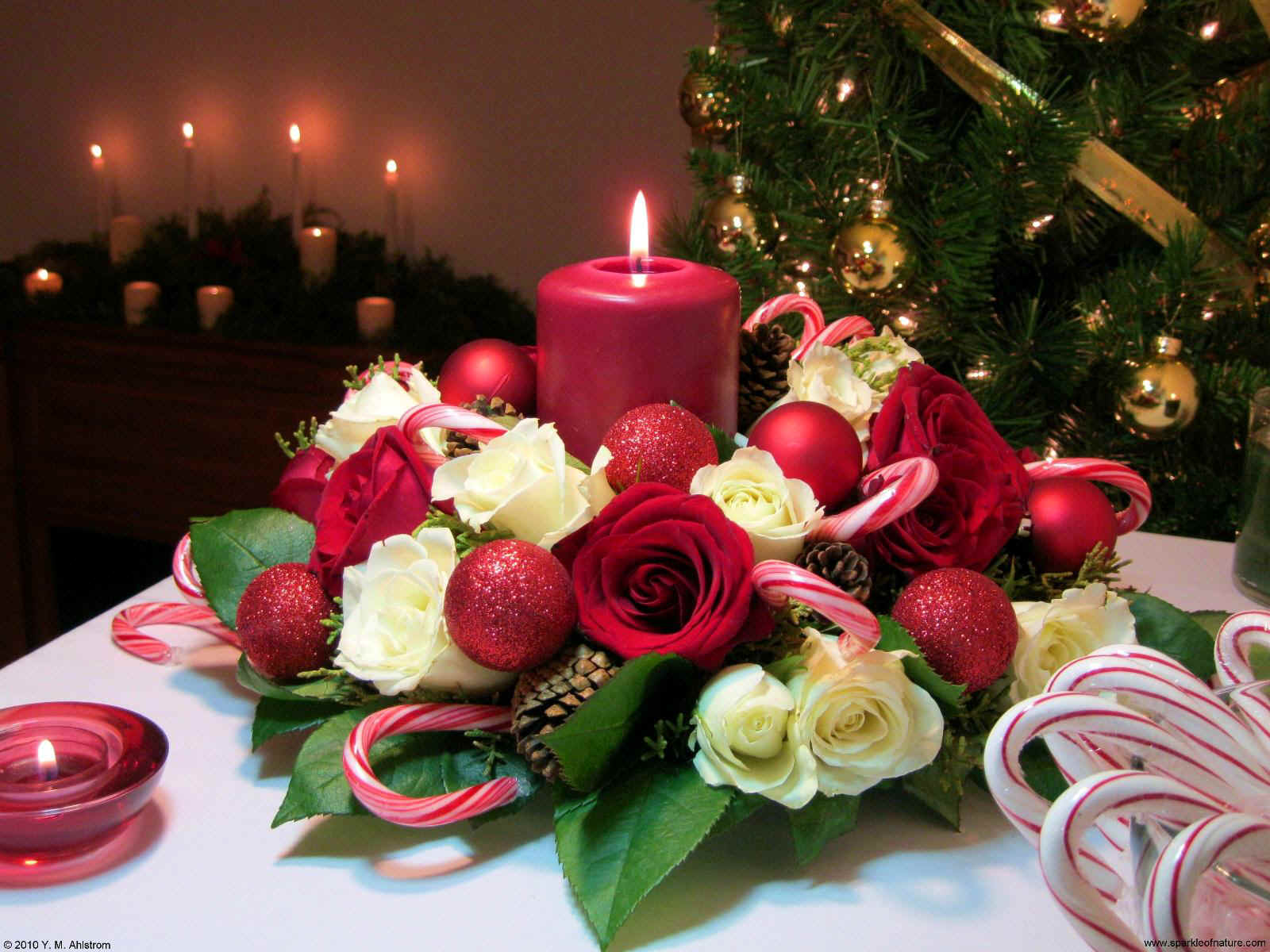 christmas candle wallpaper,candle,flower arranging,centrepiece,floristry,christmas decoration