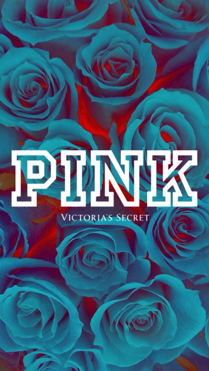 fondo de pantalla de marca,rosa,rosas de jardín,familia rosa,flor,rosa azul