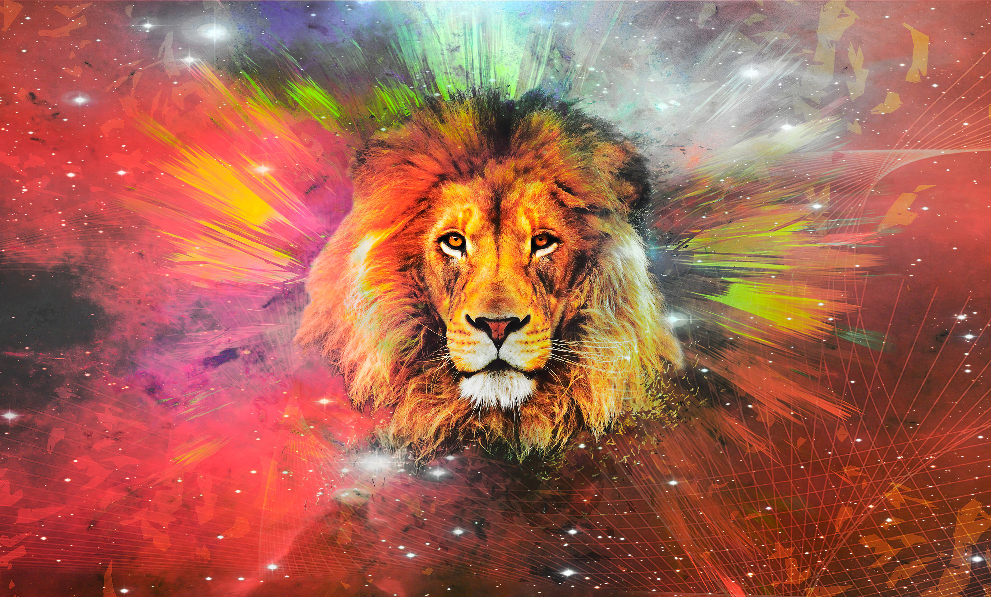 レオンのhd壁紙,ライオン,野生動物,ネコ科,大きな猫,マサイライオン