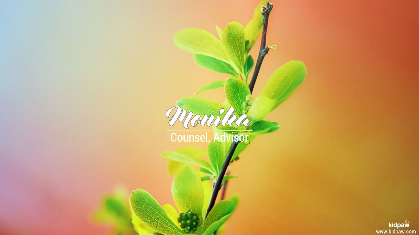 fond d'écran nom monika,feuille,fleur,plante,vert,tige de plante
