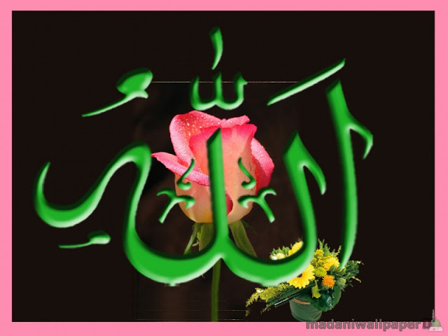 sadia name wallpaper,green,font,graphic design,calligraphy,art