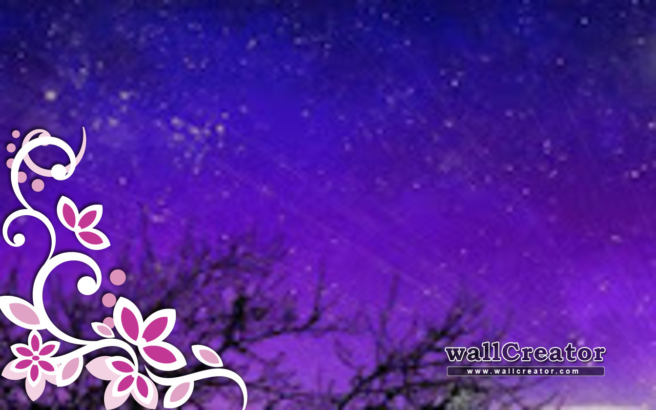 디팍 벽지,제비꽃,보라색,하늘,본문,라일락 꽃