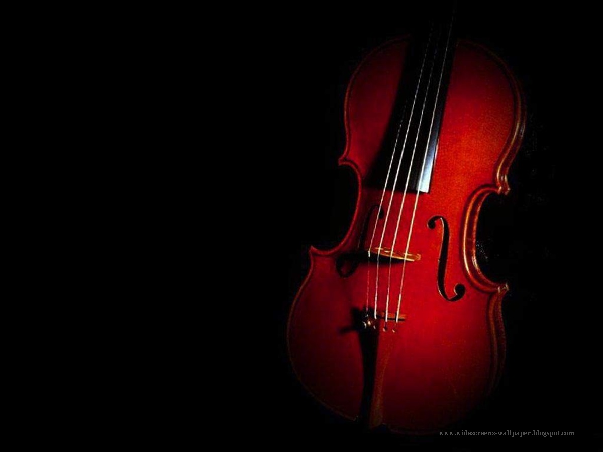 best red wallpapers,string instrument,string instrument,violin family,musical instrument,violin