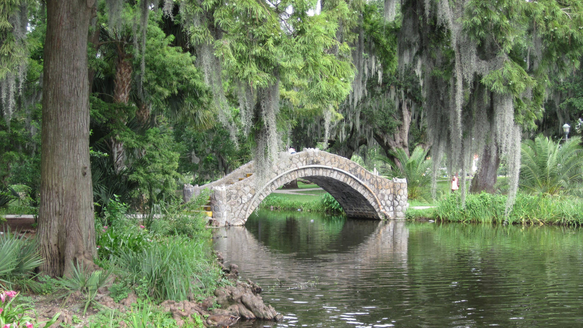 nouveau fond d'écran vidéo,pont en arc,paysage naturel,la nature,pont,arbre