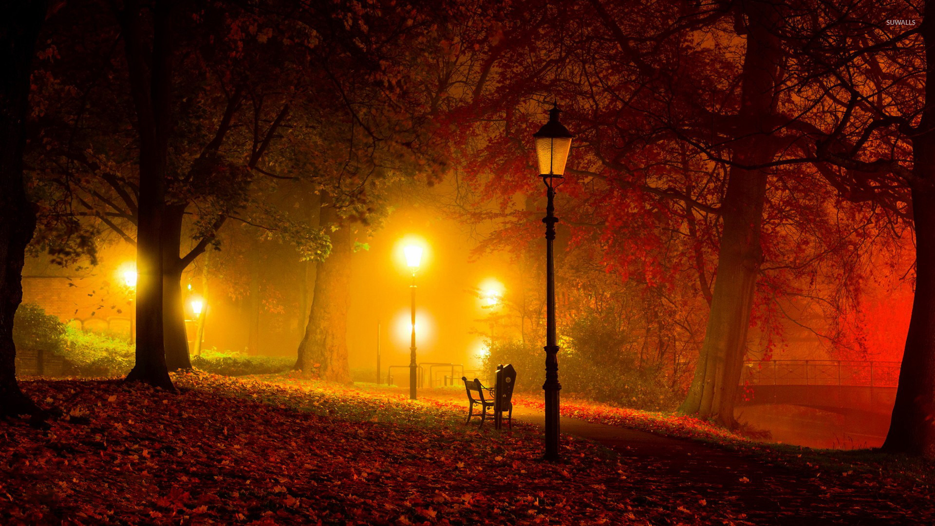 amazing wallpapers for walls,street light,atmospheric phenomenon,light,lighting,tree