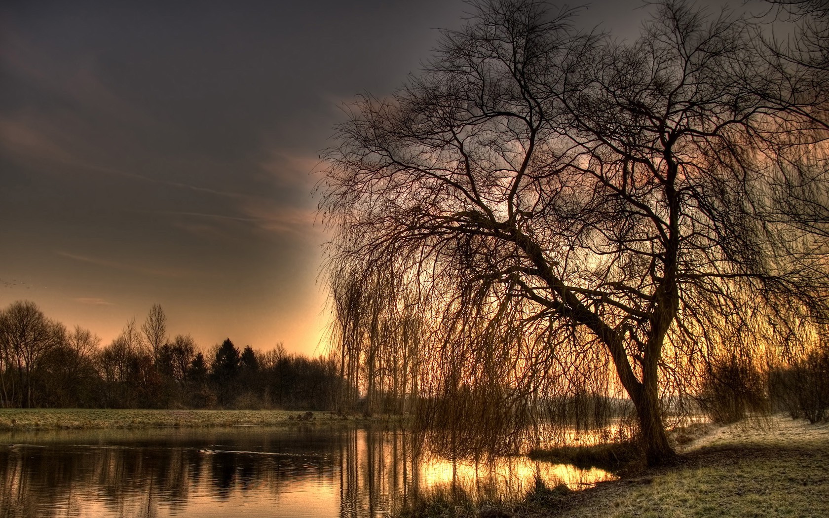 weeping wallpaper,sky,natural landscape,nature,tree,water