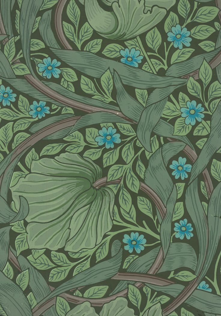 papier peint à motif audacieux,aqua,vert,sarcelle,modèle,plante