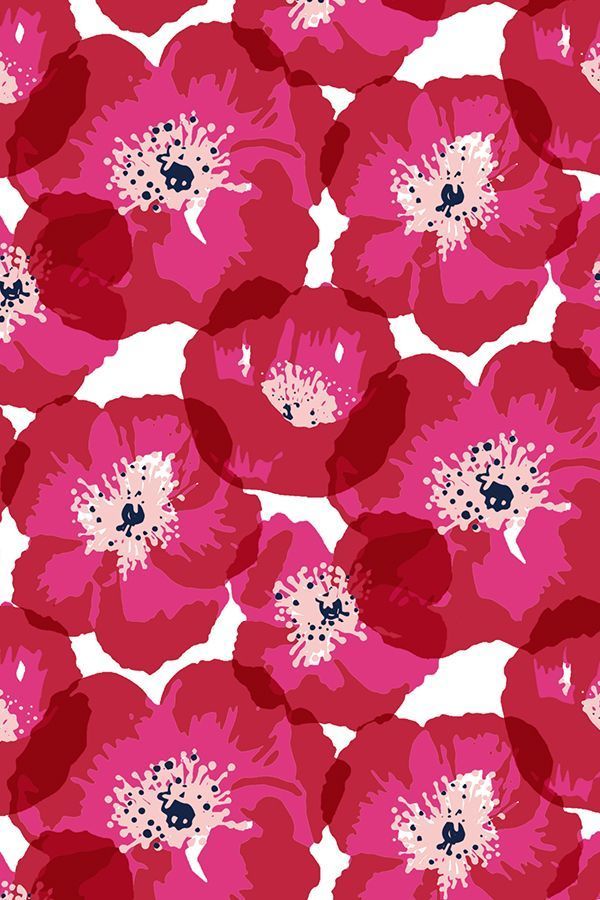 bold pattern wallpaper,pink,flower,petal,pattern,plant