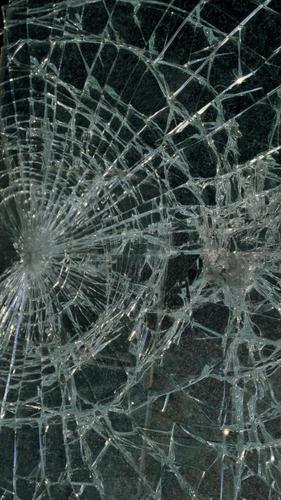 broken glass live wallpaper,water,organism,glass,net,pattern