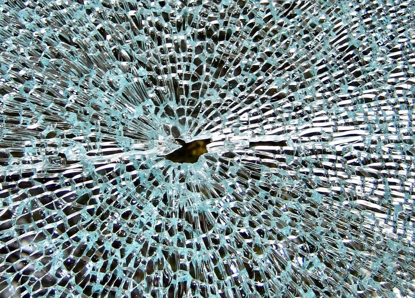 shattered glass wallpaper,organism,water,plant