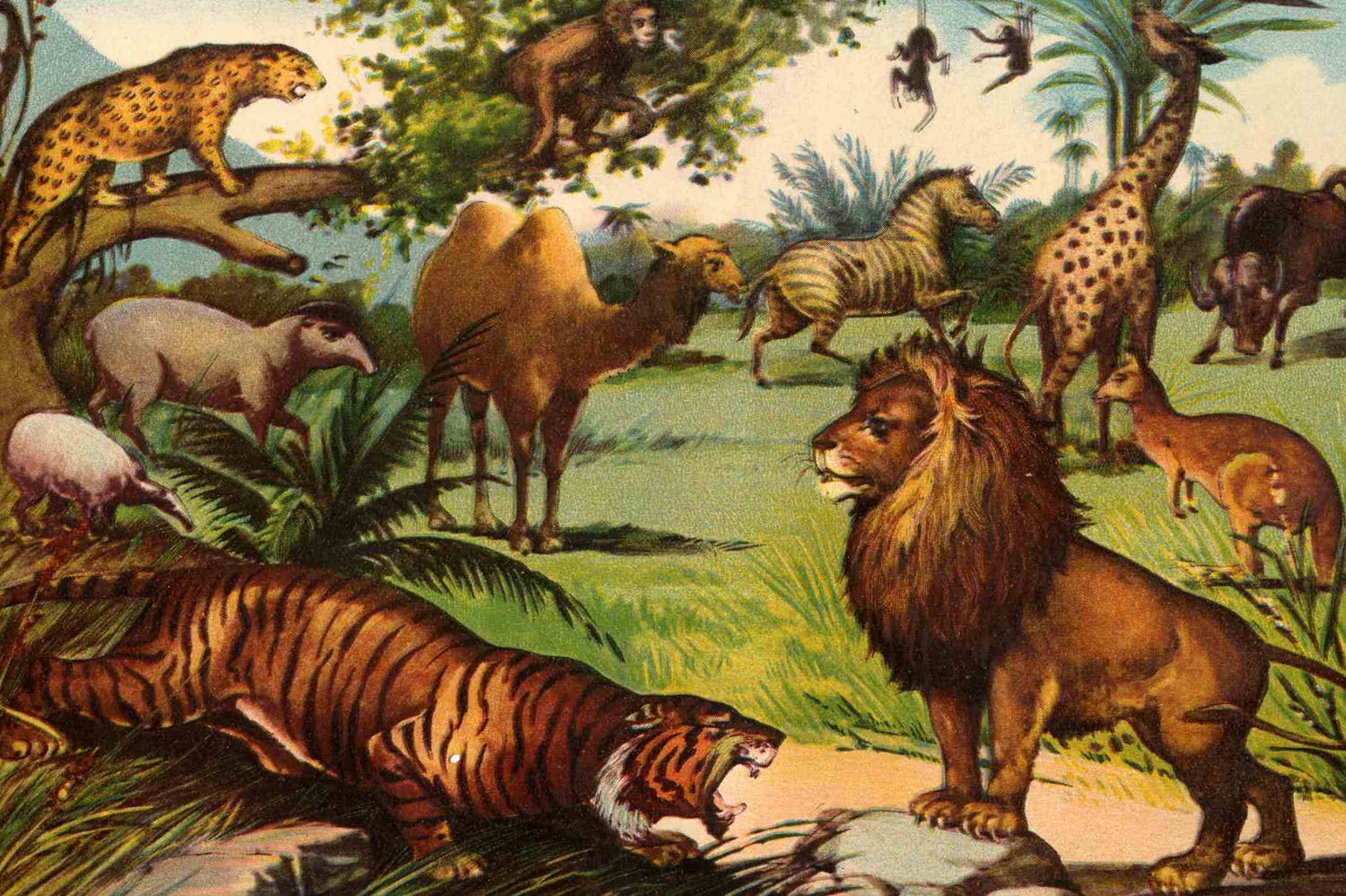 サファリ動物の壁紙,陸生動物,野生動物,ネコ科,虎,アート