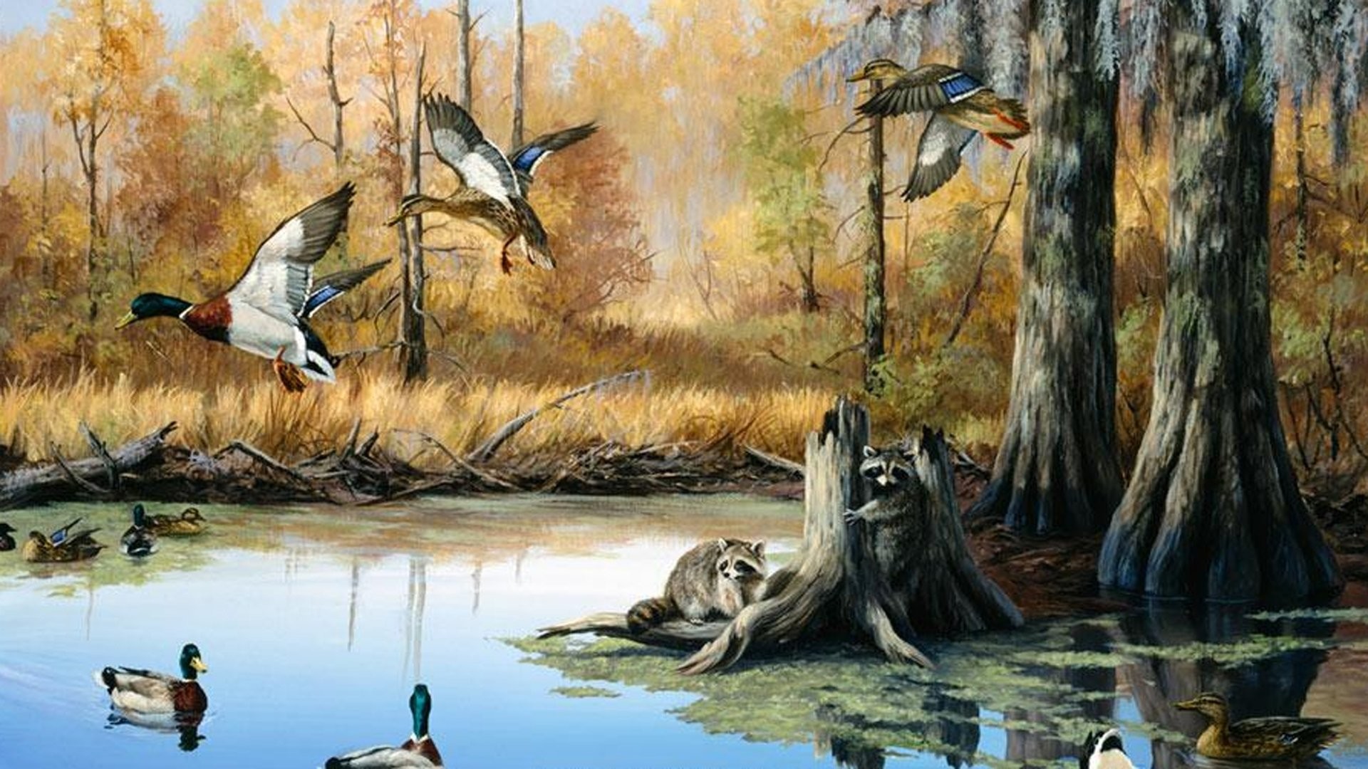 cool hunting wallpapers,bird,water bird,painting,duck,wildlife