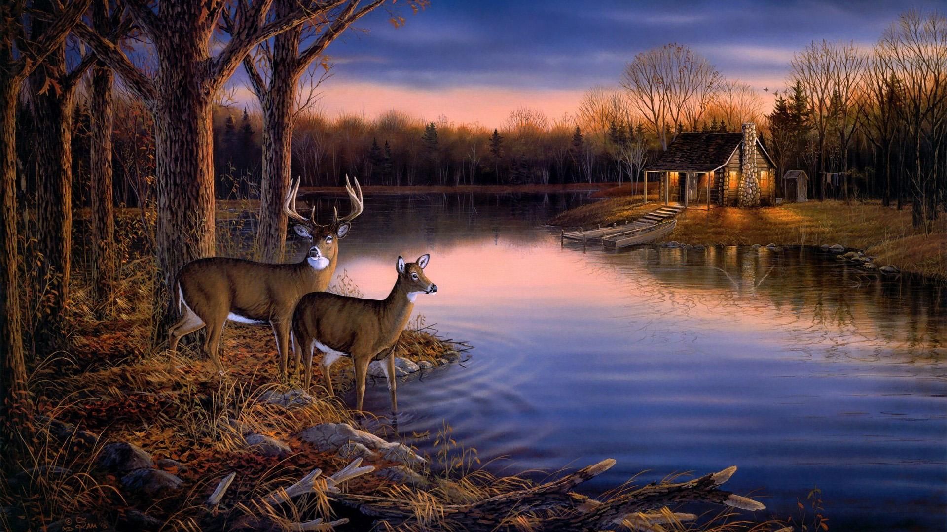 hunting wallpaper hd,nature,wildlife,natural landscape,sky,reflection