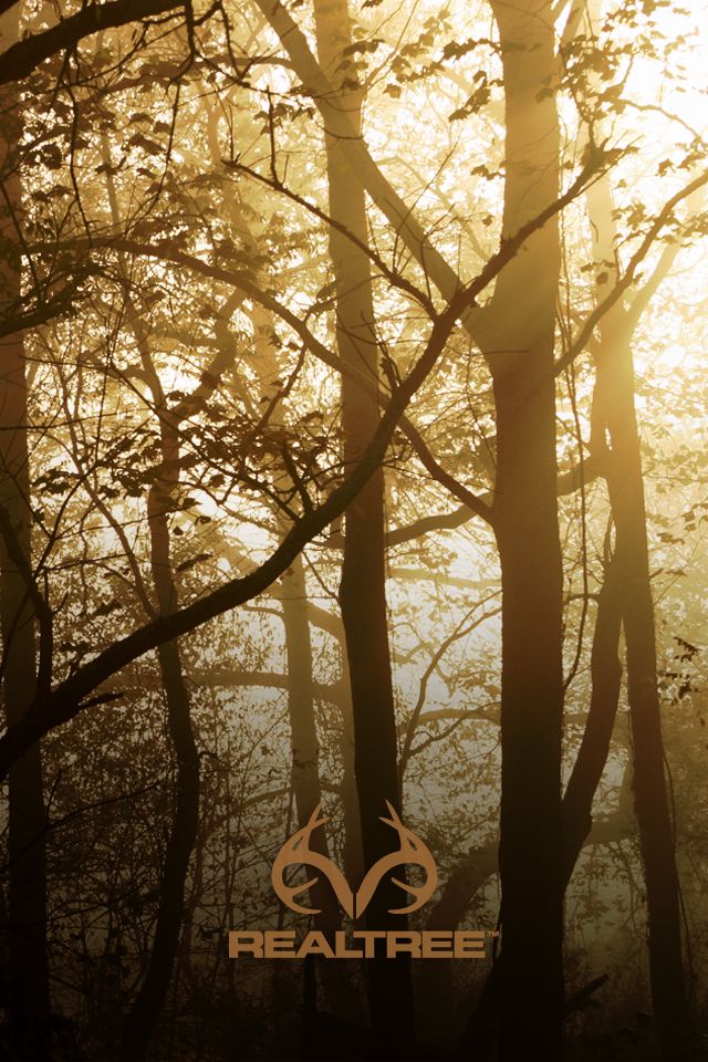 hunting iphone wallpaper,nature,tree,branch,natural environment,forest