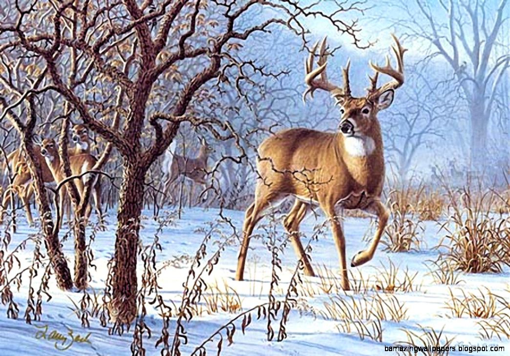 fondo de pantalla de caza de ciervos,ciervo,fauna silvestre,reno,venado de cola blanca,invierno