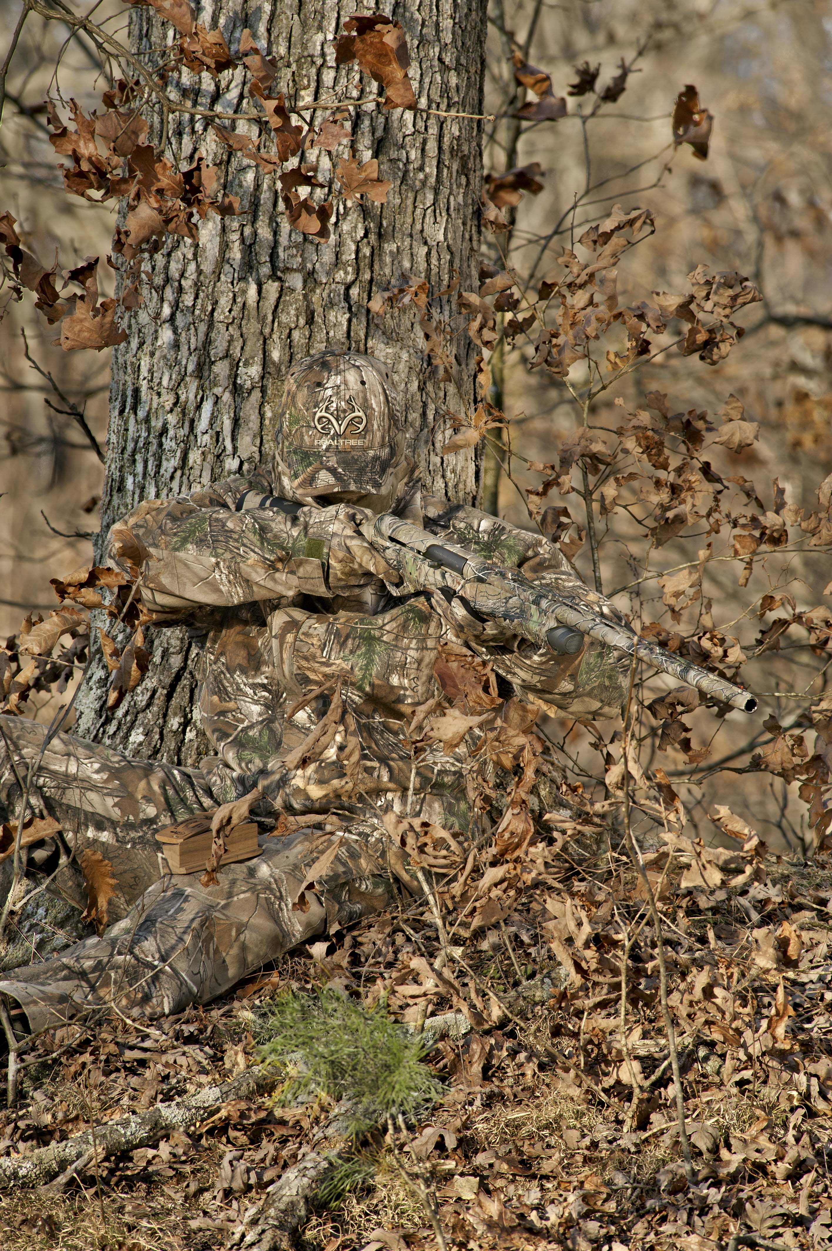 realtree iphone wallpaper,camouflage,tree,trunk,leaf,plant